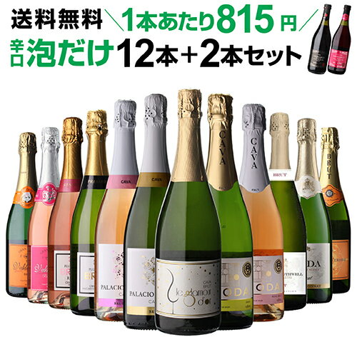 【1本あたり814円 送料無料】40%OFF ワイン ワインセット シャンパン製法&amp;金賞入 辛口泡だけ 特選 スパークリングワイン 12本+2本セット 129弾 スパークリングワイン 辛口 セット ワイン 飲み比べセット 人気 浜運A