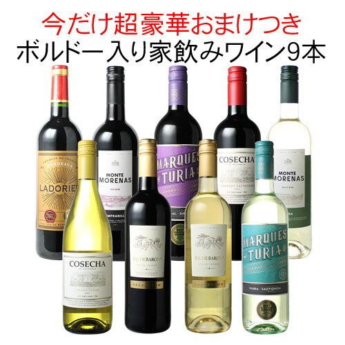 【送料無料】ワインセット 家飲み ワイン 9本 セット ボルドー入 赤ワイン 白ワイン デイリーワイン 飲み比べ パーティー おうちで満喫 ギフト 御祝 誕生日 結婚祝い 第111弾【Pup】