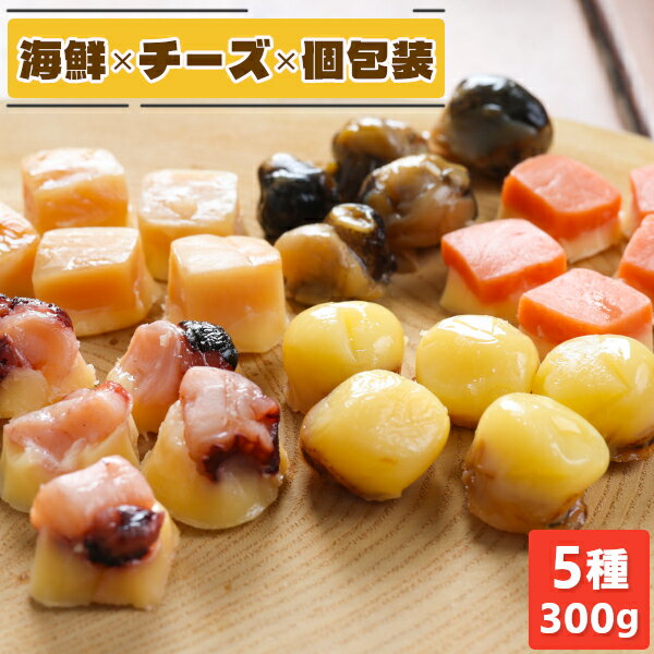 ＼エントリーで最大P19倍／父の日 おつまみ ギフト ひと口 海鮮 珍味 5種 詰め合わせ 300g 個包装 プレゼント ギフト チーズ セット チーズ入 食べ比べ 高級珍味 焼いか 鮭 つぶ 帆立 おしゃれ 送料無料 おやつ お取り寄せグルメ cheese メール便