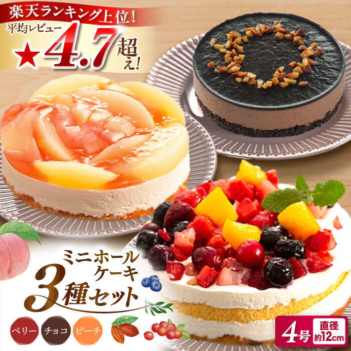 【ふるさと納税】フルーツ / チョコムース / レアチーズ ミニ ホールケーキ 3種 冷凍 糸島市 / 五洋食品産業 [AQD017] スイーツ 洋菓子 11000円 1万1千円