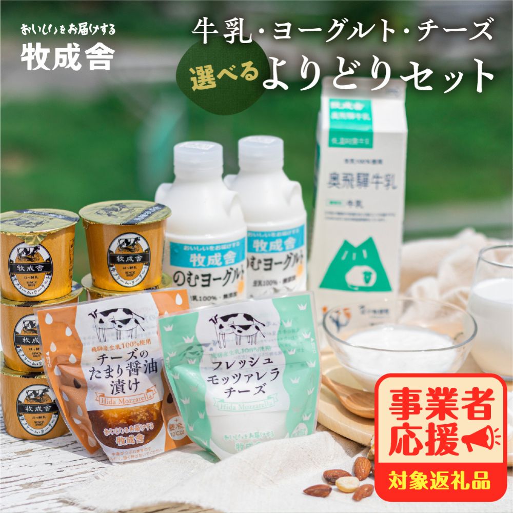 【ふるさと納税】＜8月から寄附額改定＞乳製品セット モッツァレラチーズ ヨーグルト 牛乳 飲むヨーグルト 食べ比べ 訳あり 選べる よりどりセット ヨーグルト 牧成舎 1万円 10000円 [B0096] 飛騨市 ミルクPJ 定期便 どやな飛騨市 日時指定可