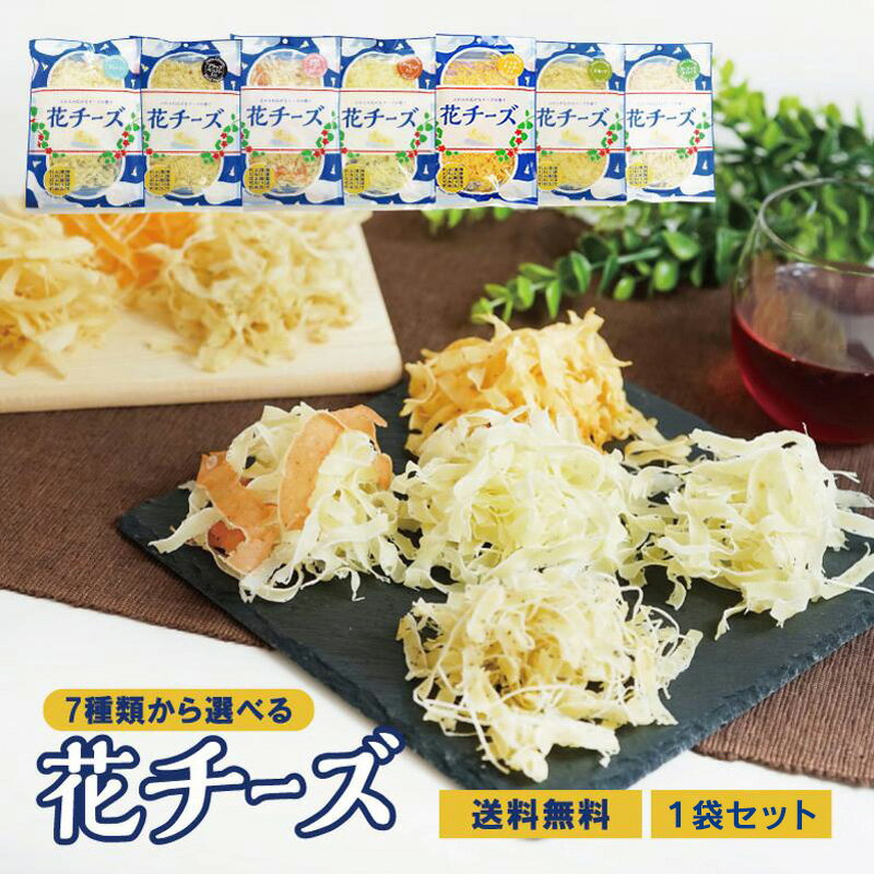 【当商品2セット購入で全19種から1種おまけつき】7種類から選べる花チーズ×1袋　珍味 送料無料 チーズ おつまみ 酒のつまみ お菓子 ちーず メール便