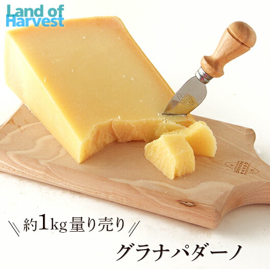グラナパダーノ 約1kgカット 不定貫1個送料無料:税込6600円/kg 1個送料別:税込6400円/kg 2個セット送料無料:税込5890円/kgで再計算チーズ グラナ グラナパダーノ 送料無料 パルメザン 冷蔵便
