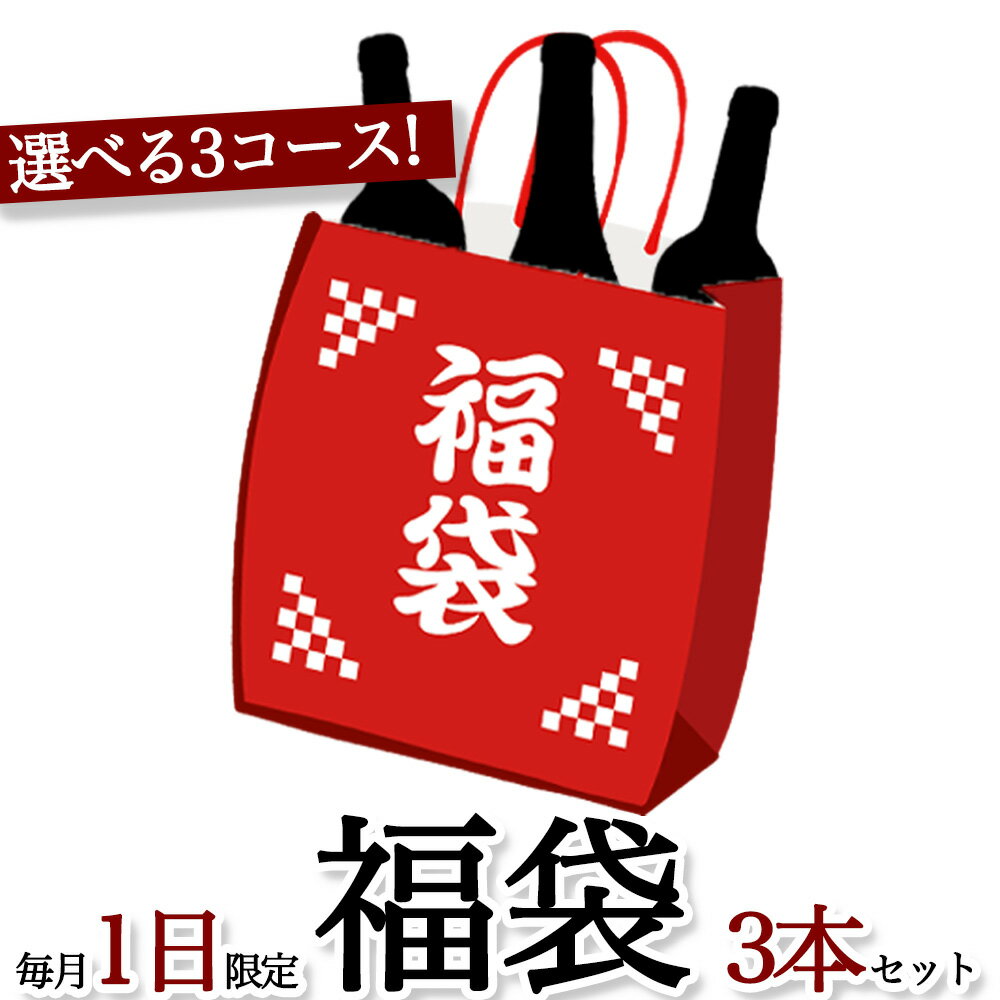 毎月1日のみの超限定販売！うきうきワインの玉手箱渾身1万円福袋！辛口赤コース 辛口白コース 辛口シャンパーニュコースの3種類販売 ワインセット 赤ワイン 白ワイン シャンパーニュ スパークリング 泡