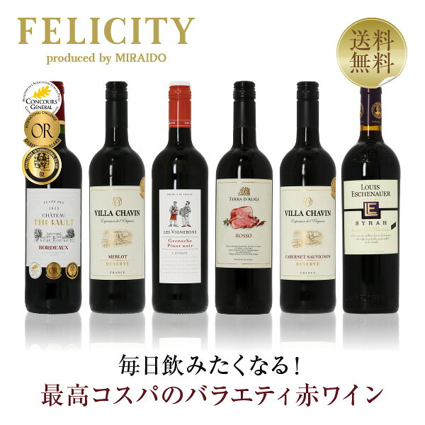 200円OFFクーポン対象 【4】毎日飲みたい！最高コスパワイン バラエティ 赤ワイン 6本セット 第22弾 750ml×6 飲み比べ ワイン セット 【送料無料】【包装不可】