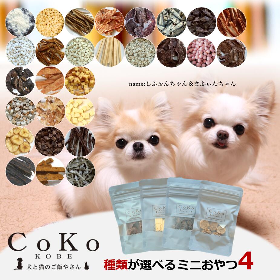 犬 おやつ 小分け 詰め合わせ ギフト おやつセット 4点 無添加 国産 低脂肪 種類が選べるおやつセット お試し プレゼント さつまいも 鹿肉 鮭 チーズ 鶏ささみ 馬肉 ボーロ 犬用 フード ペット パピー シニア 子犬 小型犬 アレルギー CoKo coko COKO
