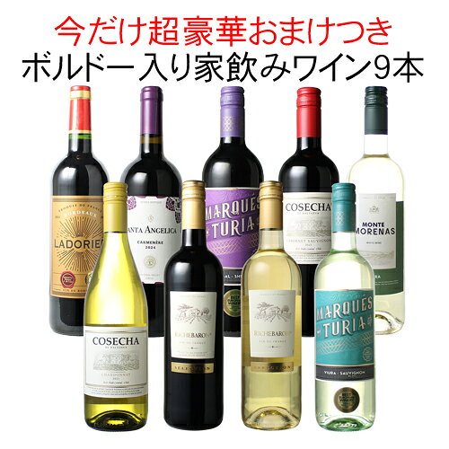 【送料無料】ワインセット 家飲み ワイン 9本 セット ボルドー入 赤ワイン 白ワイン デイリーワイン 飲み比べ パーティー おうちで満喫 ギフト 御祝 誕生日 結婚祝い 第112弾