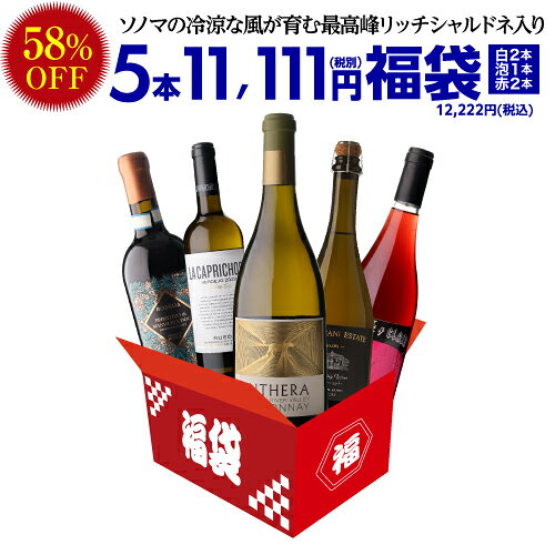【58％OFF 1本2,445円】ワイン ワインセット 中身が見えるスペシャルワイン5本福袋11,111円(税別) 送料無料 ワイン福袋 スパークリング1本 赤ワイン2本 白ワイン2本 ギフト 誕生日プレゼント 浜運A