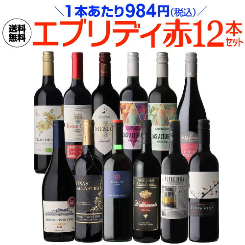 【20%クーポンで1本787円 】 ワイン ワインセット 赤ワイン エブリデー赤ワイン12本セット 25弾 送料無料 コスパ 赤ワインセット 人気 赤 辛口 赤泡 フランス イタリア スペイン チリ 手土産 お祝い ギフト 誕生日プレゼント まとめ買い 浜運A