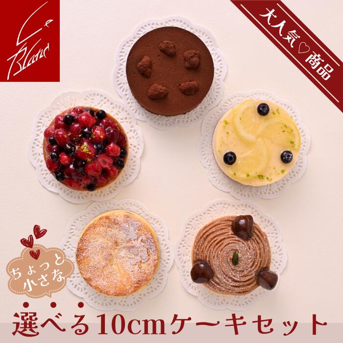 [期間限定]選べる10cmケーキセット 4台/3台 銀座ル・ブラン 冷凍ケーキ 食べ比べ ミニホールケーキ モンブラン チーズケーキ チョコレートケーキ 誕生日ケーキ ギフト お取り寄せスイーツ