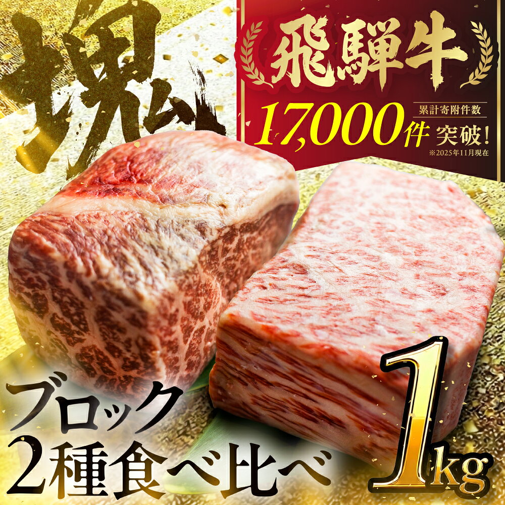 【ふるさと納税】人気急上昇 飛騨牛 ブロック肉 1kg 発送月が選べる 牛肉 ローストビーフ ステーキ 霜降り 赤身 500g JA飛騨 ひだ 肉 食べ比べ 訳あり 訳アリ 部位お任せ 不揃い 規格外 真空パック 黒毛和牛 BBQ 焼肉 キャンプ 人気 ランキング 白川村 [S090]