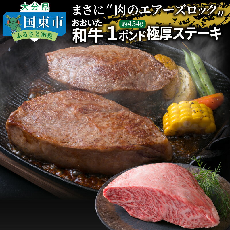 【ふるさと納税】A4～A5等級 おおいた和牛 1ポンド ブロック 454g 極厚 ステーキ 【頂】内閣総理大臣賞受賞 肉のエアーズロック 豊後牛 A5 A4 和牛 黒毛和牛 霜降り 厚切りステーキ ローストビーフ モモ ウデ バーベキュー 焼肉 アウトドア キャンプ 送料無料