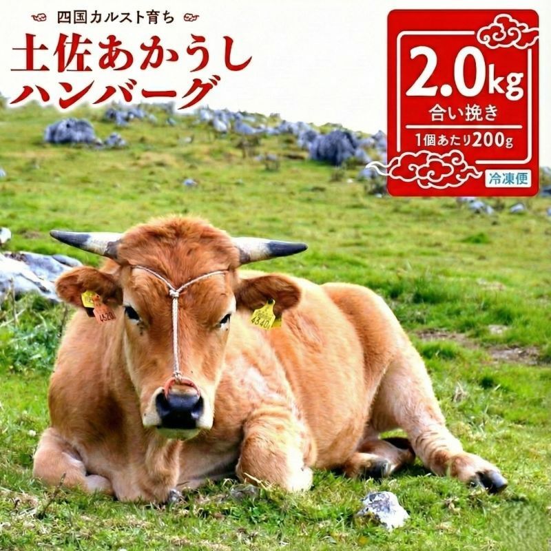 【ふるさと納税】 幻の和牛 土佐あかうし ハンバーグ 2kg 200g x 10個 冷凍 合い挽き 黒毛和牛 牛肉 豚肉 玉ねぎ 玉葱 個包装 人気 神戸牛 松阪牛 近江牛 より数が少ない 国産和牛 一万円 10000円 1万円 赤牛ハンバーグ あか牛ハンバーグ 高知県 須崎市