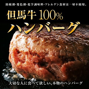 【自家製】【但馬牛】但馬牛100%ハンバーグ　5個　750g【国産牛肉 敬老の日 お彼岸 和牛 a5ランク 黒毛和牛 松阪牛 ギフト 帰歳暮 神戸牛 近江牛 ノンアレルゲン アレルギー グルテンフリー 無添加 但馬牛ハンバーグ 霜降り肉 敬老の日】