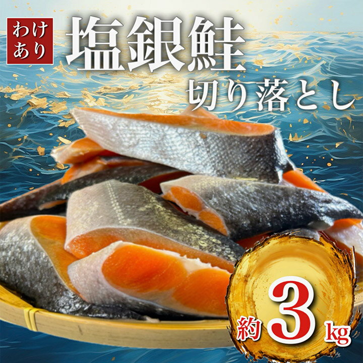 【ふるさと納税】【訳あり】人気の海鮮お礼品 チリ産 定塩 塩銀鮭切り落とし(端材)約3kg_ 鮭 さけ サケ シャケ 銀鮭 切り落とし 端材 訳あり 規格外 不揃い 切身 魚 お弁当 おかず 冷凍 人気 海鮮 サーモン おすすめ チリ産 魚介類 【配送不可地域：離島】【1389616】