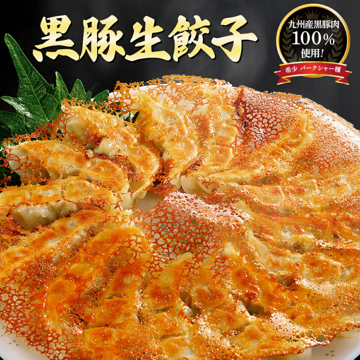 【黒豚生餃子】当店人気NO.1餃子★国産野菜100％【希少 黒豚 バークシャー種100％使用】 餃子 セット 冷凍餃子 冷凍 餃子 ギフト 引越し祝い 開店祝い 内祝い 出産祝い［餃子の王国］
