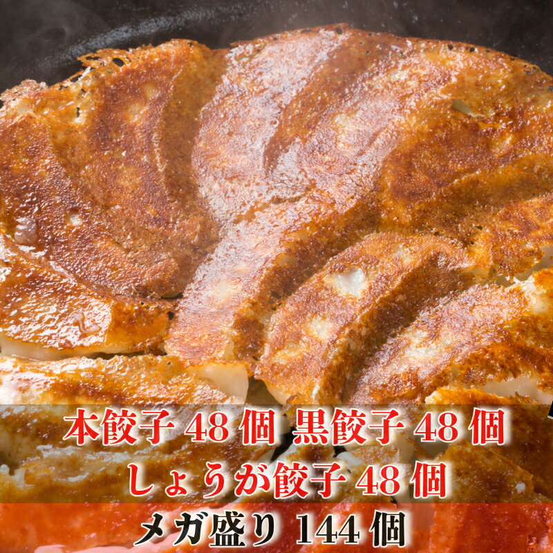 【4年連続中華総菜・点心部門グルメ大賞受賞！】餃子 送料無料 【5000万個完売】本餃子黒餃子しょうが餃子144個！ 送料無料！大容量おためし！ ぎょうざ 冷凍餃子 冷凍食品