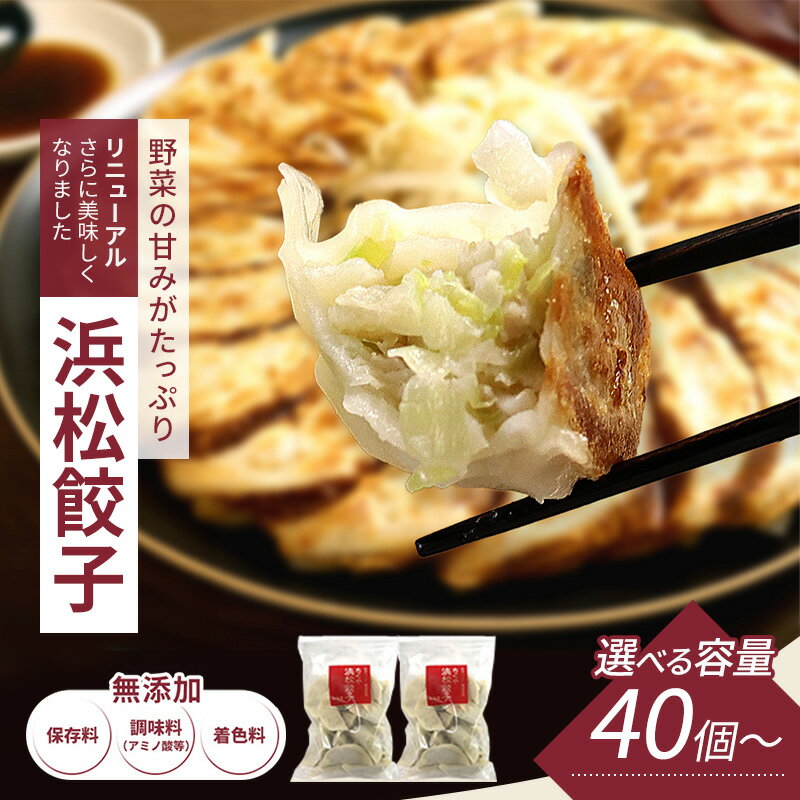 【ふるさと納税】浜松餃子 40個～ 選べる容量 回数 定期便 セット 餃子 国産 冷凍餃子 冷凍食品 惣菜 配送不可：離島　お届け：10～20日