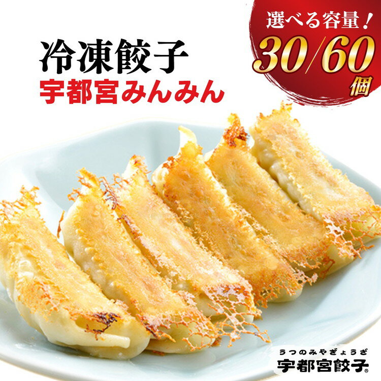 【ふるさと納税】【選べる内容量】宇都宮餃子【宇都宮みんみん】餃子 ◇｜餃子 ぎょうざ ギョウザ ギョーザ 冷凍食品 冷凍餃子 惣菜 夜ご飯 米 おかず おつまみ 手軽 時短 お取り寄せ グルメ 送料無料 栃木県 宇都宮市