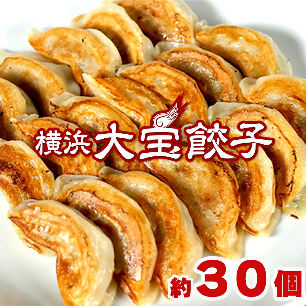 もちもち国産ジャンボ大宝餃子30個 送料無料 銘柄豚岩中 大きい もちもち 冷凍餃子 焼餃子 餃子 豚肉 野菜 おかず おつまみ パーティー 家飲み 鮮度 惣菜 点心 横浜中華 お取り寄せ グルメ ギョウザ ぎょうざ ギョーザ にんにく 肉汁 ギフト すぐ届く