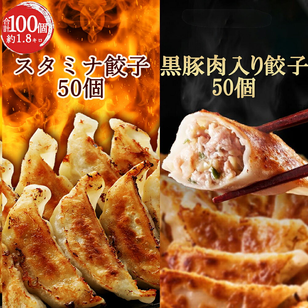 【ショップ・ザ・イヤー2024 受賞】黒豚肉入り餃子50個スタミナ餃子50個セット 一龍堂 餃子 ぎょうざ ギョウザ ギョーザ 生餃子 冷凍餃子 冷凍生餃子 大人気冷凍食品 食品 送料無料 簡単 惣菜 中華惣菜 中華点心 おかず