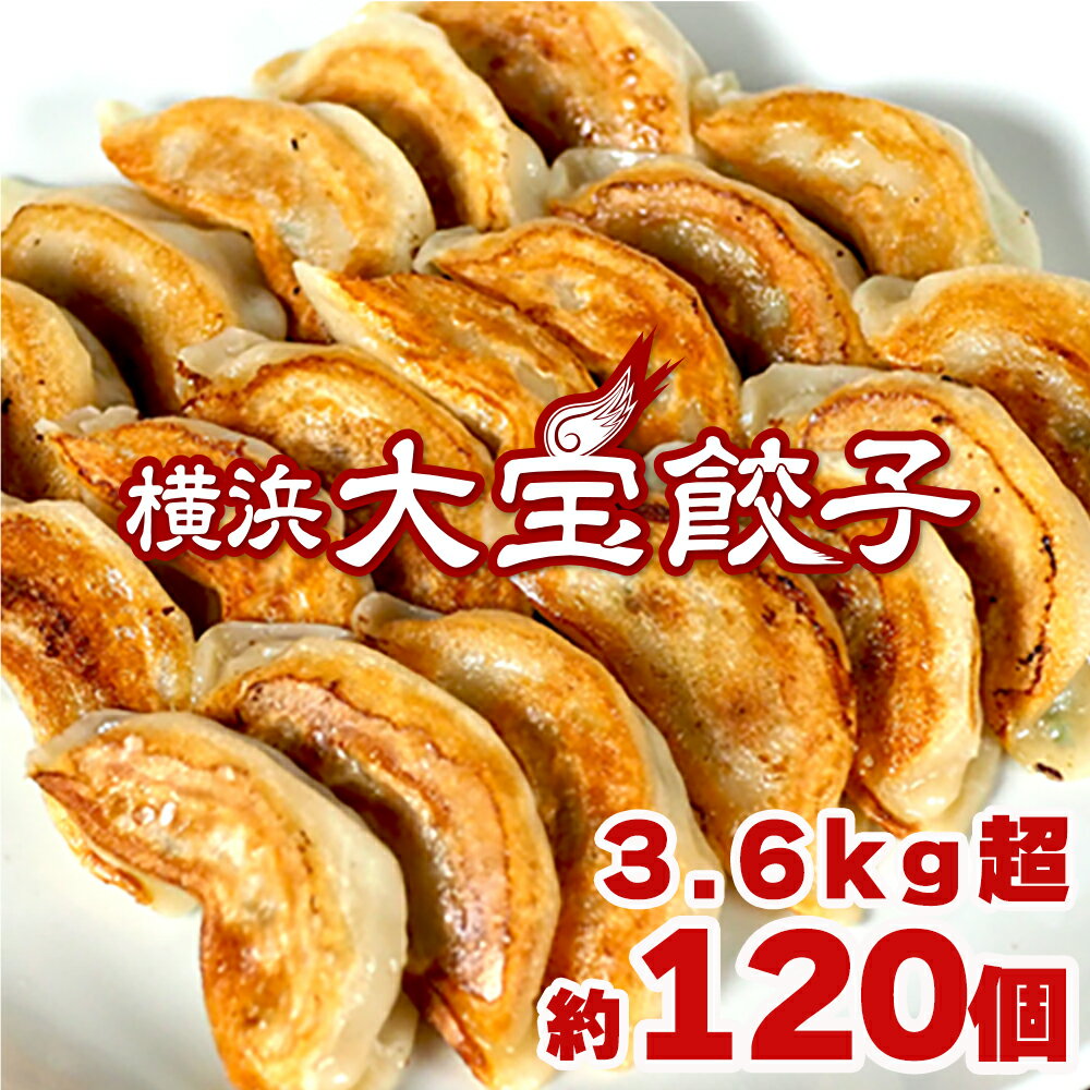 【全て国産材料 たっぷり3.6kg】　＼もちもち国産ジャンボ大宝餃子 30個 ×4 ／全て 銘柄豚岩中 大きい 冷凍餃子 焼餃子 豚肉 野菜 横浜中華 点心 おつまみ おうちごはん にんにく 肉汁 ぎょうざ ギョーザ お取り寄せ 惣菜 大容量 グルメ お取り寄せ 熨斗