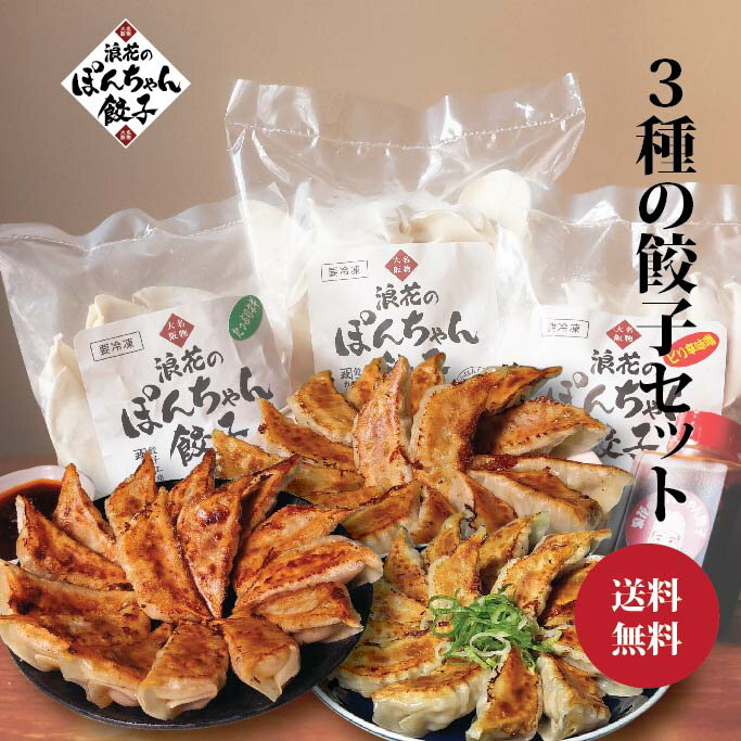 ☆お買い物マラソン☆ 期間限定! 3580円→2980円 餃子 100個 タレ付き お歳暮◆国産◆3種類の餃子セット 浪花のぽんちゃん餃子 冷凍餃子 生餃子 ぎょうざ ギョウザ ギョーザ お中元 夏 ギフト お取り寄せグルメ 贈り物 お得 保存料 着色料 無添加