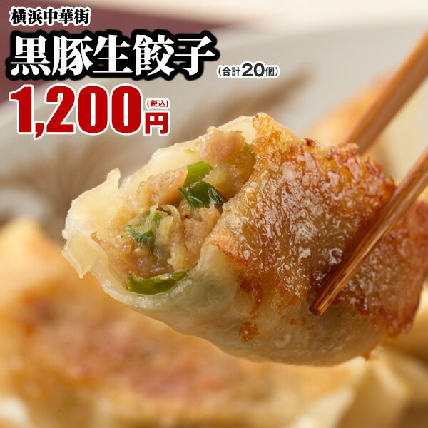黒豚生餃子20個入 餃子 生餃子 ギョウザ ギョーザ 冷凍餃子 お取り寄せ 国産 点心 グルメ 惣菜 中華 冷凍 おつまみ おかず 黒豚 簡単 食品 横浜中華街 お土産 中華点心 中華惣菜 皇朝