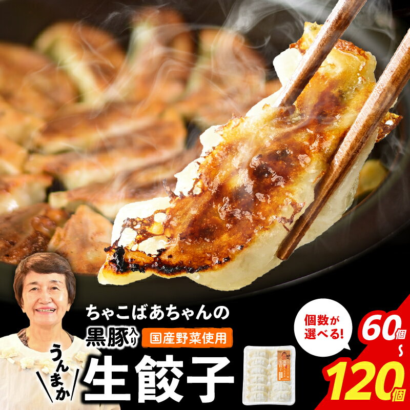 【ふるさと納税】＜容量選べる＞ 黒豚入り 生餃子 60個 〜 120個 5パック 〜 10パック ちゃこばあちゃん うんまか生餃子 餃子 ギョーザ 冷凍餃子 肉 豚 黒豚 国産 野菜 ビックファイブ 鹿児島 鹿児島市 おすすめ ランキング プレゼント ギフト