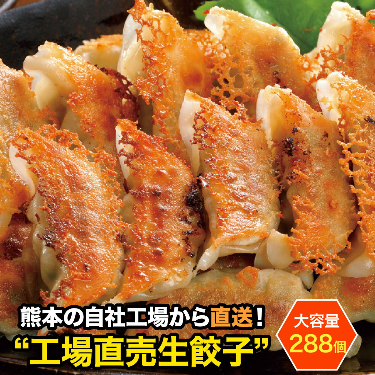 【送料無料】 お徳用 餃子 セット 業務用 工場直売生餃子 288個（24個×12パック）ビニール袋・焼き方レシピ付き！[餃子の王国]