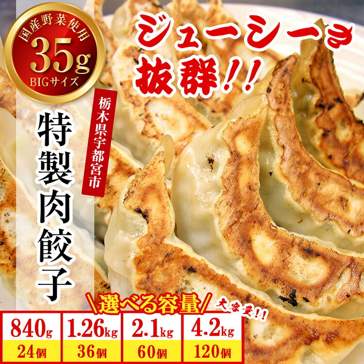 【ふるさと納税】【選べる内容量】テレビで紹介！餃子専門店 宇都宮 悟空 特製肉餃子 | 餃子 冷凍餃子 冷凍 ぎょうざ ギョーザ 惣菜 中華 冷凍食品 焼き餃子 大きい 国産豚肉 豚肉 国産野菜 国産 もちもち餃子 人気 名物 行列 グルメ おかず おつまみ 簡単 小分け 栃木県