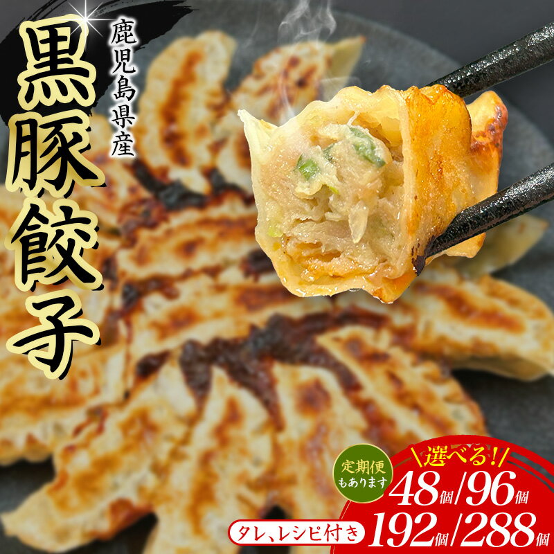 【ふるさと納税】餃子 48~288個 定期便 冷凍 小分け 選べる容量 黒豚餃子 ぎょうざ ギョーザ 豚肉 家族 子ども 弁当 中華 惣菜 大容量 人気 ランキング 美味しい おいしい 焼き餃子 揚げ餃子 冷凍餃子 おかず おつまみ