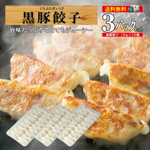 【期間限定!!クーポン配布＆ポイント5倍】餃子 送料無料 黒豚 生 冷凍 鹿児島黒豚 生餃子 黒豚餃子 仕送り 本餃子 水餃子 ぎょうざ ギョウザ 鍋 業務用 /黒豚餃子3/黒かつ亭 お取り寄せ【月間優良ショップ受賞】【楽天1位】