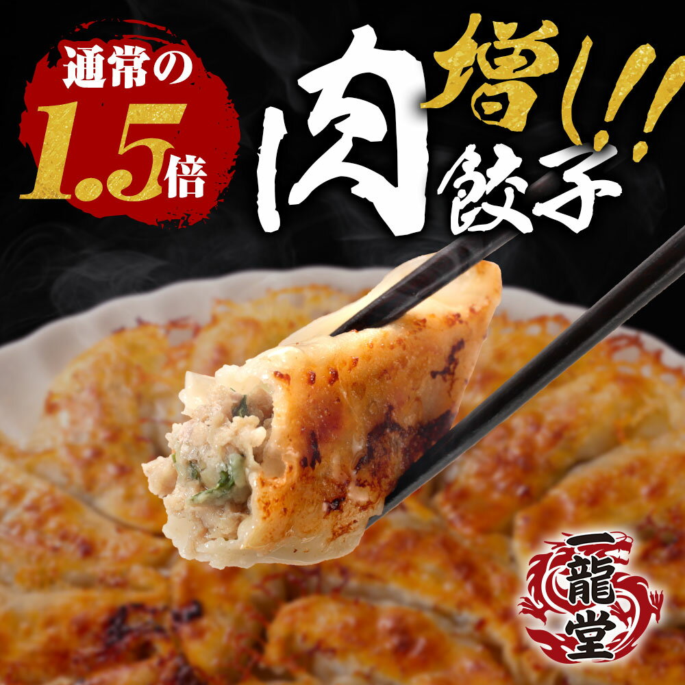 一龍堂 新発売 肉増し餃子約100個 餃子 肉餃子 ぎょうざ ギョウザ ギョーザ 冷凍餃子 1.9キロ！ 約16人前 大人気 冷凍食品 食品 惣菜 冷凍 大容量 業務用 送料無料 国産 簡単 送料無料