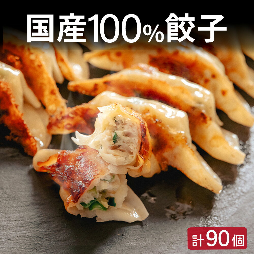 餃子 ぎょうざ ギョウザ ギョーザ 中華 冷凍 冷凍生餃子 冷凍餃子 国内生産 国産 国産100％ 国産原料使用 大容量 惣菜 総菜 業務用 生餃子 送料無料 冷凍総菜 冷凍食品 点心 中華惣菜 中華点心 中華総菜 プチ 具材たっぷり