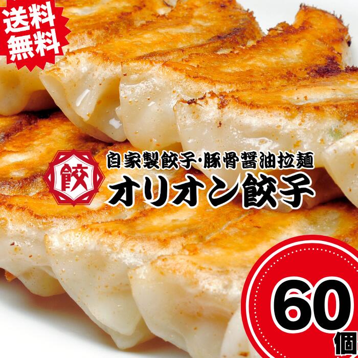 送料無料 宇都宮産餃子 60個入り 冷凍餃子 にんにく有り オリオン餃子 専用タレ付き お取り寄せ 栃木名物 ギフト