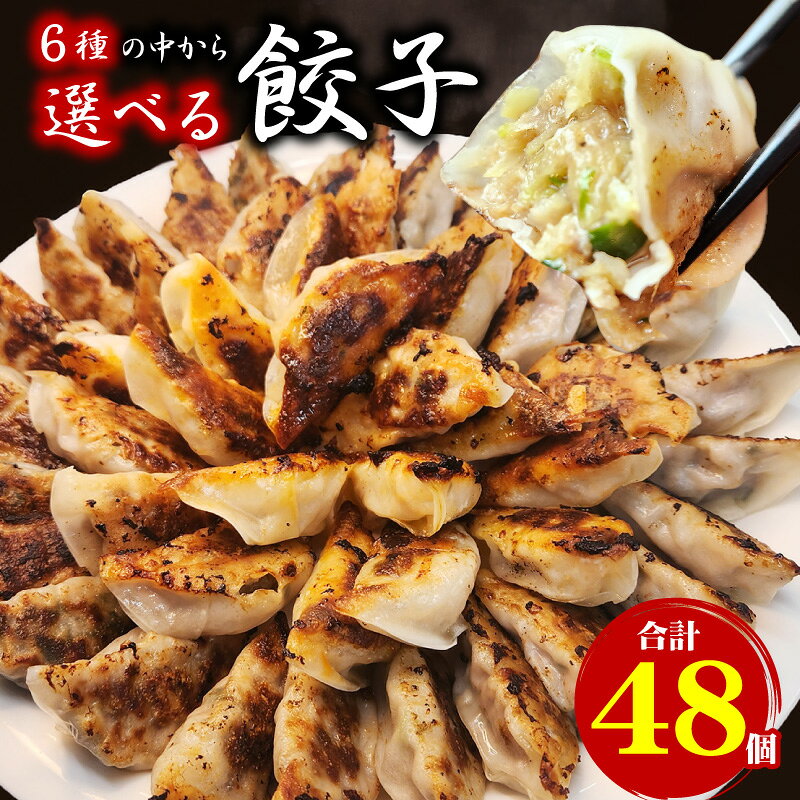 選べる餃子セット 合計48個(1袋16個入×3) 送料無料 生餃子 餃子 ギョーザ ぎょうざ 冷凍 焼餃子 肉餃子 野菜餃子 使いやすい 個包装 大容量 冷凍餃子 餃子のタレ付き お取り寄せ 食品 惣菜 グルメ お試し お中元 お歳暮 ギフト