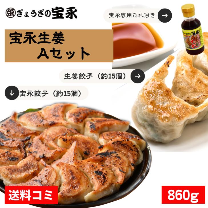 【送料無料】宝永生姜Aセット（専用たれ付き） 総重量860g ぎょうざの宝永【製造元】北海道 冷凍餃子 ぎょうざ 生餃子 中華 惣菜 点心 もちもち にんにく生姜 ギフト 御礼 内祝 お返し お中元 父の日