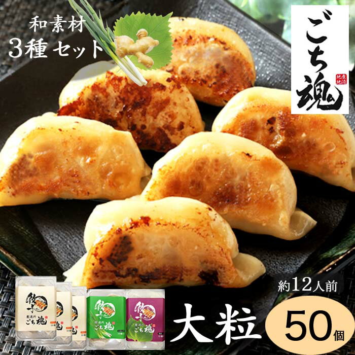 【送料無料】大粒！お肉ぎっしりごちたま餃子 3種の味 食べ比べセット 50個 10個×5パック 約1750g プレーン3パック＋九条ねぎ1パック＋紫蘇1パック にんにく不使用 国産生姜 焼餃子 しそ餃子 冷凍餃子 お取り寄せグルメ お取り寄せ餃子 ギフト 父の日