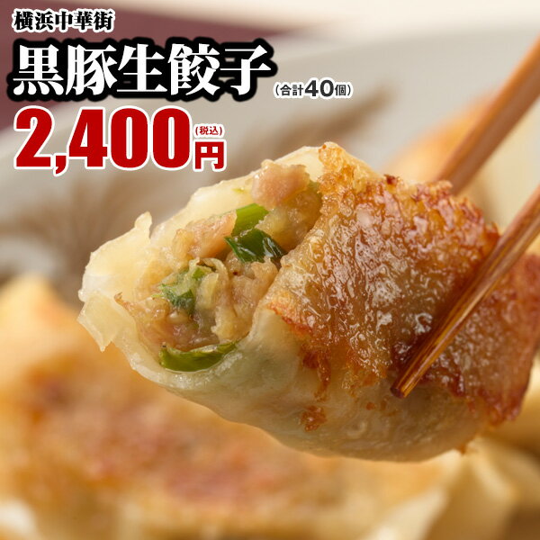 黒豚生餃子40個（20個入×2箱）餃子 生餃子 ギョウザ ギョーザ 冷凍餃子 お取り寄せ 国産 点心 グルメ 惣菜 中華 冷凍 おつまみ おかず 黒豚 大容量 簡単 食品 横浜中華街 お土産 中華点心 中華惣菜 皇朝