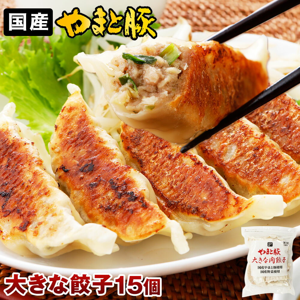 やまと豚 大きな肉餃子 15個 | 大粒 ジューシー もちもち 厚皮 国産豚 使用 冷凍餃子 肉感 たっぷり 食べ応え 満足感 夕食 時短 鍋 焼き餃子 食べ応え 冷凍食品 中華 惣菜 点心