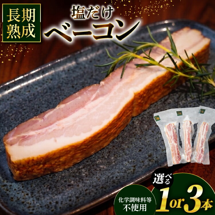 【ふるさと納税】 ベーコン 燻製 ブロックベーコン 選べる 200g 600g 【化学調味料等無添加】[グリュン江南 愛知県 江南市 ko23btu160007] 肉 岩塩 豚肉 厚切り ブロック ジューシー 無添加 肉加工品 加工品 真空パック BBQ バーベキュー お弁当 おかず ◎