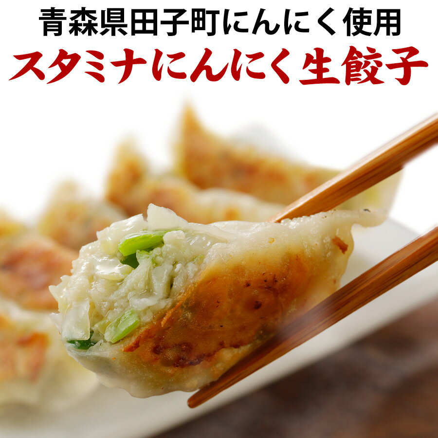 (スタミナにんにく生餃子50個) 10人前 本格生餃子 冷凍餃子 冷凍生餃子 生餃子 冷凍食品 食品 惣菜 中華惣菜 点心 中華 中華点心 グルメ 定番メニュー 餃子 パーティー ぎょうざ ギョーザ おいしい お取り寄せ