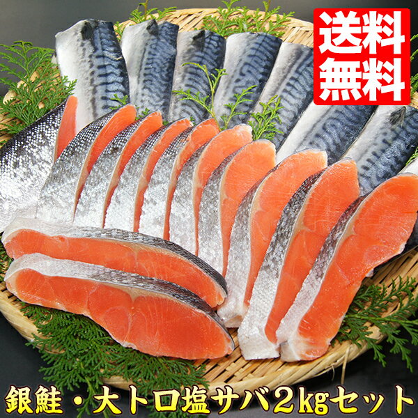 甘塩銀鮭 切り身　大トロ鯖 半身 kgセット 送料無料 お弁当 おかず 同梱 魚 セット しゃけ 鮭 サバ 鯖 塩さば 焼き魚 朝食 朝ごはん 惣菜 ごはんのおとも 冷凍 食品 冷凍食品