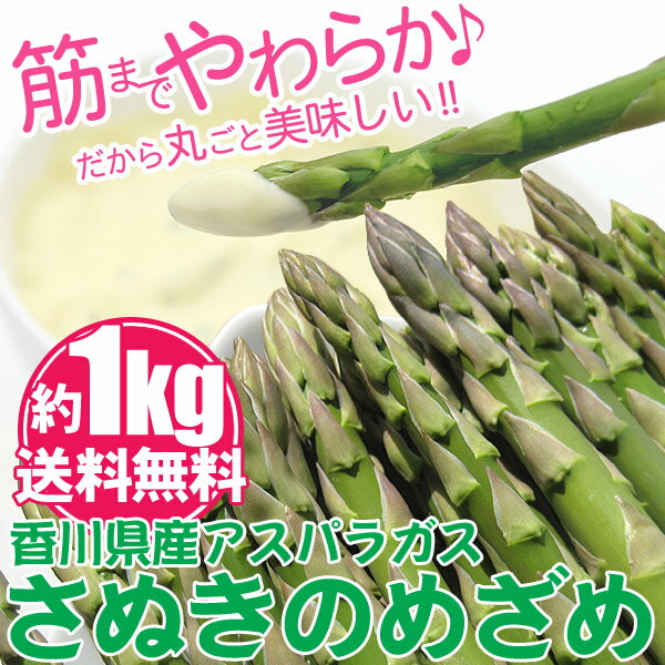 海のグリーンアスパラガスさぬきのめざめ1kg チルド郵 農予冷　/ asupara あすぱら アスパラガス 国産アスパラガス ギフト 贈答用 お中元 母の日 野菜 生野菜 食品 グルメ お取り寄せ 産地直送