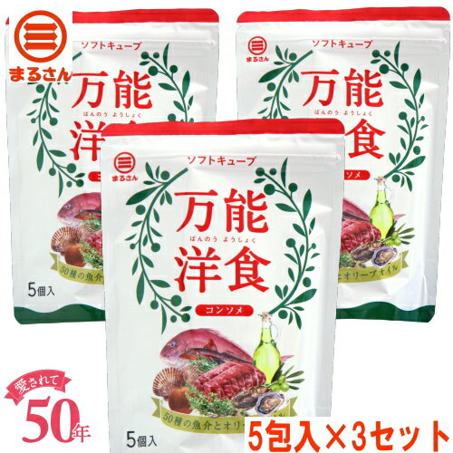 【メーカー直営】まるさん（丸三食品） 万能洋食 コンソメ5個入 3袋セット 大人のコンソメ 国産 国内製造