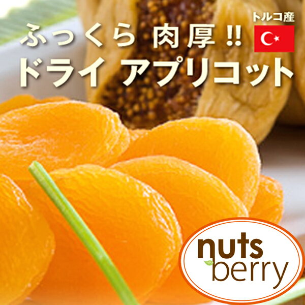 【公式】トルコ産 アプリコット 1kg ドライフルーツ アプリコット お菓子作り パン作り ヨーグルト おやつ ジャム作り砂糖不使用 ドライフルーツ ベーカリー 製菓 グラノーラ スムージー nutsberry ナッツベリー