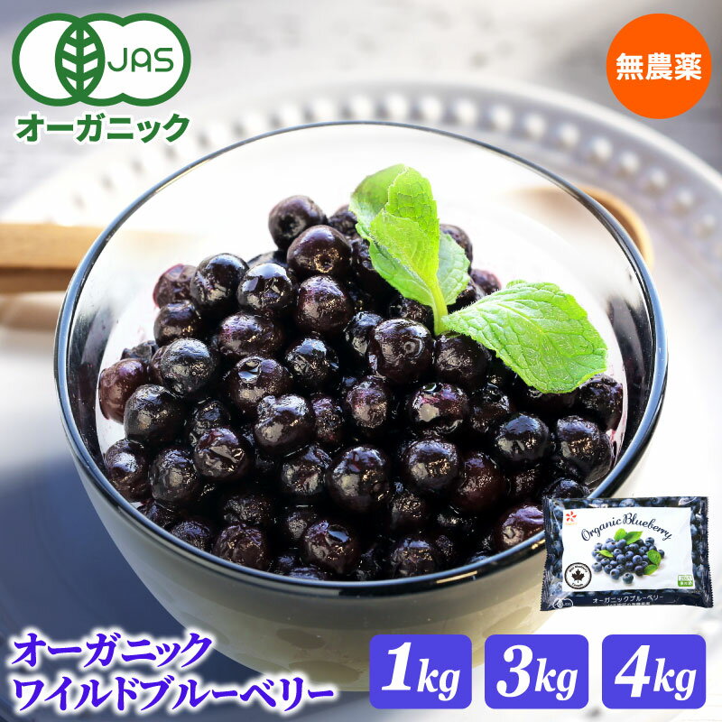 オーガニック 冷凍 ワイルドブルーベリー 1kg 3kg 4kg 無農薬 有機JAS認証 大容量 メガ盛り お徳用 個包装 小分け 野生種 フルーツ 果物 送料無料 1キロ 3キロ 4キロ