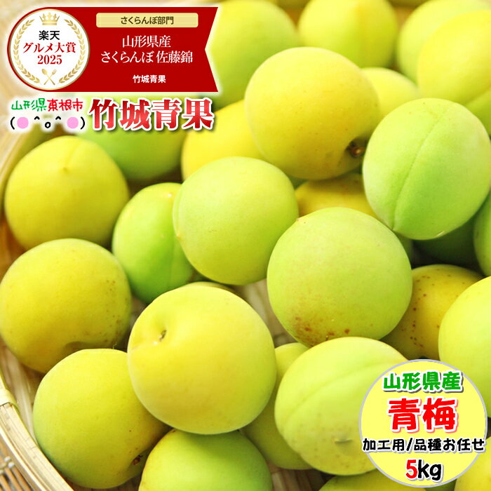 ■クール便【6月下旬から順次出荷予定】山形県産 加工用 青梅 5kg【山形産 青梅 黄梅 生梅 梅 うめ ウメ 梅酒 梅干し 梅ジュース 梅シロップ 梅ジャム 白加賀梅 節田梅 豊後梅 南高梅 産地直送 送料無料 山形県 お取り寄せ 人気 旬 わけあり 訳あり 加工用 手作り】