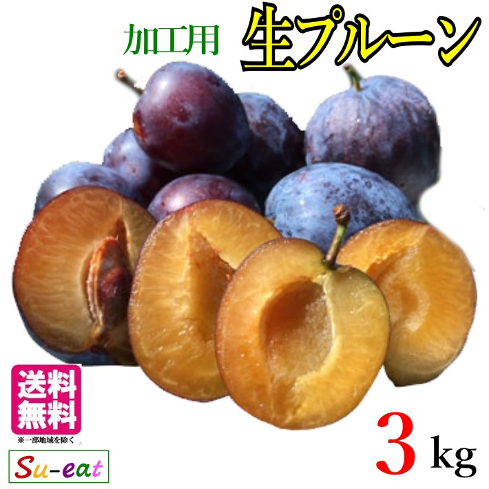 8月上旬〜中旬　加工用 生プルーン 長野県産 3キロ